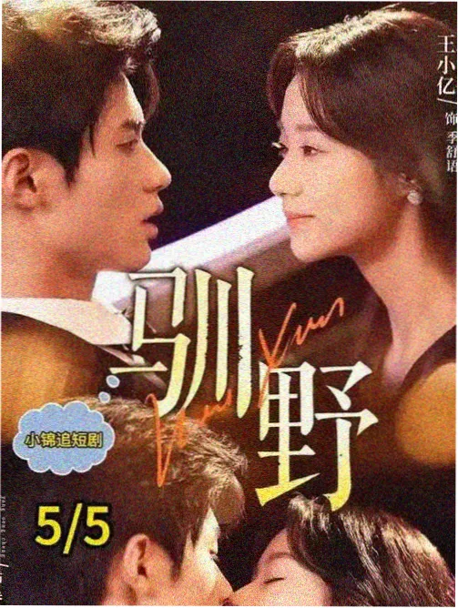 老赵人物档案图